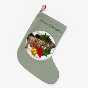 Pinscher Puppys Weihnachten Kleiner Weihnachtsstrumpf