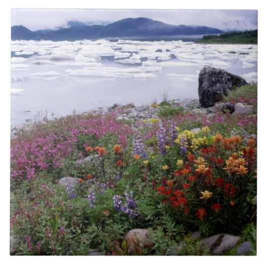 Pinsel, Lupine, Feuerweh. Icebergs Russell Fliese (Vorderseite)