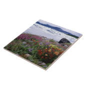 Pinsel, Lupine, Feuerweh. Icebergs Russell Fliese (Seite)