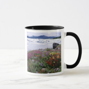 Pinsel, Lupine, Feuerweh. Icebergs Russell Tasse
