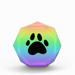 Pinsel-Rainbow-Akrylblock Fotoblock