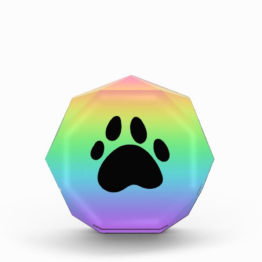 Pinsel-Rainbow-Akrylblock Fotoblock (Vorderseite)
