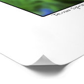 Pinsel und Bluebonnets - Texas Poster (Ecke)