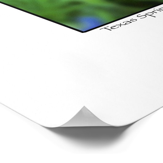 Pinsel und Bluebonnets - Texas Poster (Ecke)