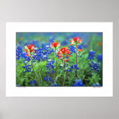 Pinsel und Bluebonnets - Texas Poster (Vorne)