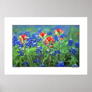 Pinsel und Bluebonnets - Texas Poster