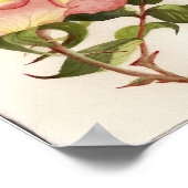 Pinsel und Pfirsichfarben Blume botanische Aquarel Poster (Ecke)