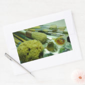 Pinsel und Pinsel Rechteckiger Aufkleber (Umschlag)