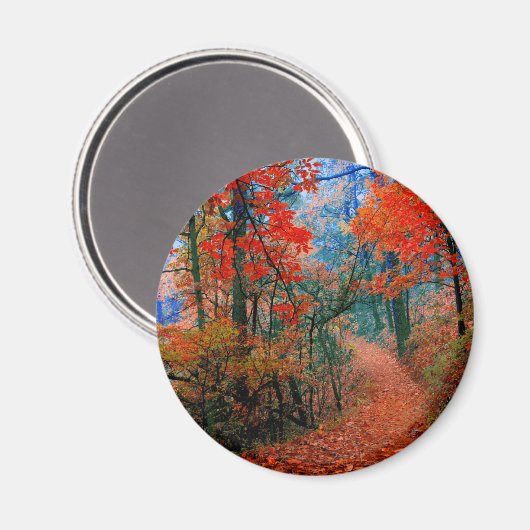 Pinselforst Herbstflammflammgeschenke Magnet (Vorderseite/Rückseite)