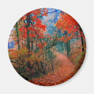 Pinselforst Herbstflammflammgeschenke Magnet