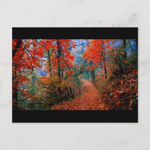 Pinselforst Herbstflammflammgeschenke Postkarte