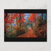 Pinselforst Herbstflammflammgeschenke Postkarte (Vorderseite)