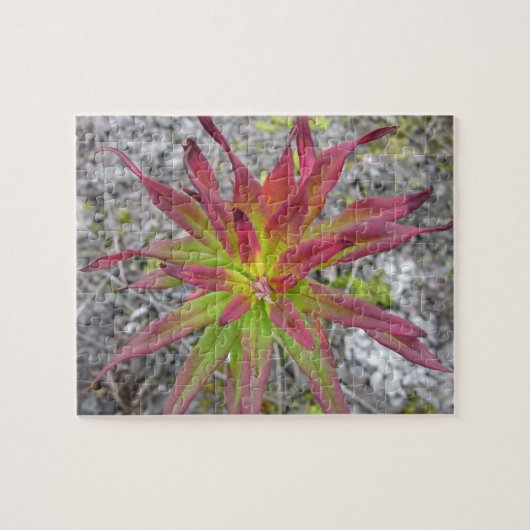 Pinselpuzzle an der Küste Puzzle (Horizontal)