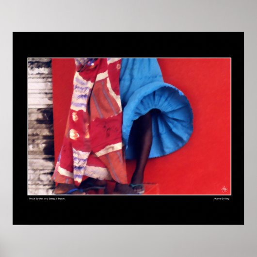 Pinselstriche an der senegalesischen Winde Poster (Vorne)