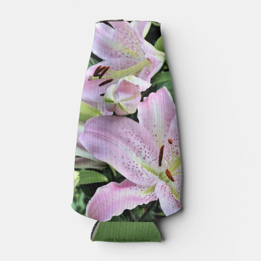 Pint Asiatic Bulb Lilies Flaschenkühler (Vorderseite)