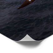 Pintado (Cape) Petrel im Flug Poster (Ecke)