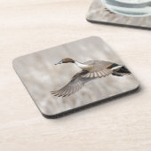 Pintail Drake Taking Getränkeuntersetzer (Linke Seite)