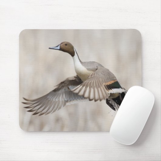 Pintail Drake Taking Mousepad (Mit Mouse)