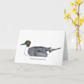 Pintail Duck Greeting Card von David Ivan Strombeg Karte (Gelbe Blume)