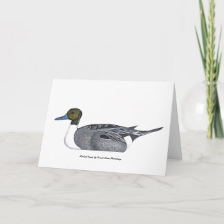 Pintail Duck Greeting Card von David Ivan Strombeg Karte