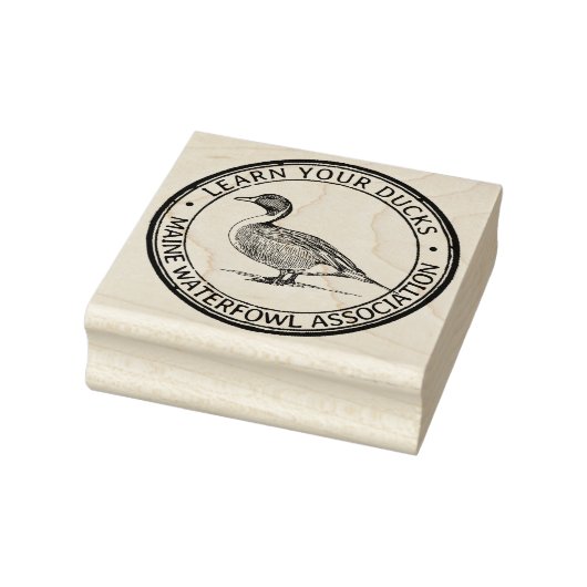 Pintail Duck Illustration Wasservögel Naturlogo Gummistempel (Stempel)