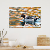 Pintail Duck Poster (Küche)