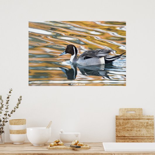 Pintail Duck Poster (Küche)