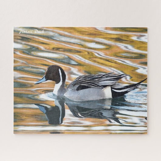 Pintail Duck Puzzle (Horizontal)