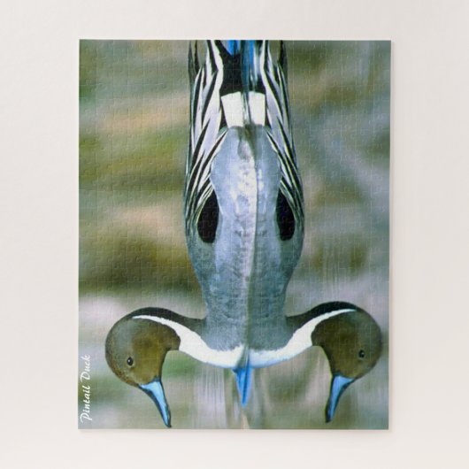 Pintail Duck Puzzle (Vertikal)