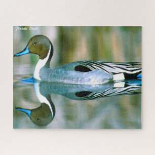 Pintail Duck Puzzle