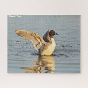 Pintail Duck Puzzle