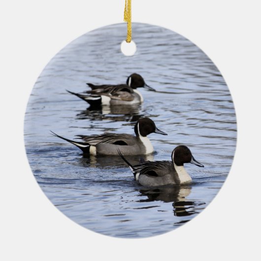 Pintail Duck Trio Ornament (Hinten)