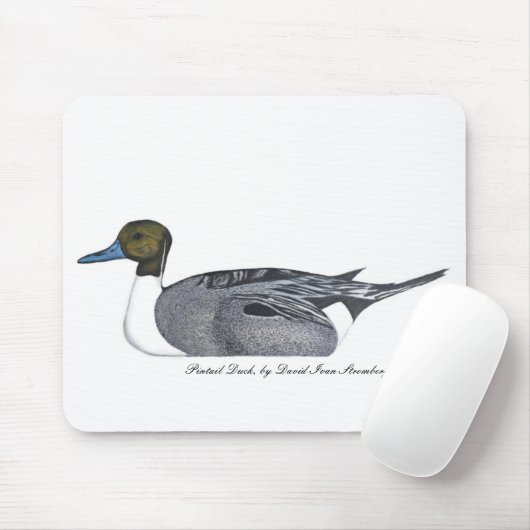 Pintail Duck von David Ivan Stromberg Mousepad (Mit Mouse)