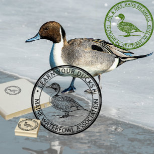 Pintail Duck Wasservögel Natur oder Rücksendeadres Gummistempel