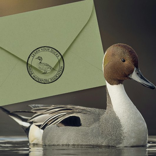 Pintail Duck Wasservögel Natur oder Rücksendeadres Gummistempel