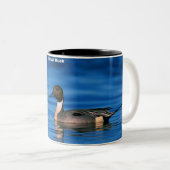 Pintail Duck Zweifarbige Tasse (VorderseiteRechts)