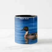Pintail Duck Zweifarbige Tasse (Mittel)