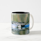 Pintail Duck Zweifarbige Tasse (VorderseiteRechts)