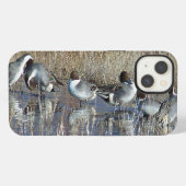 Pintail Ducks iPhone 6 Fall Hülle (Rückseite (Horizontal))