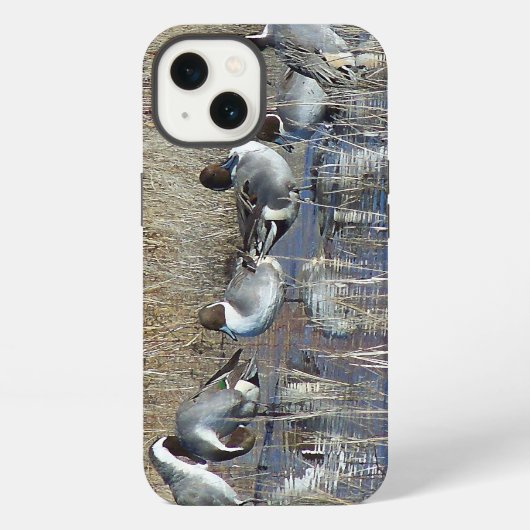 Pintail Ducks iPhone 6 Fall Hülle (Rückseite)