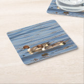 Pintail Encks Paper Untersetzer (angewinkelt)