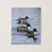 Pintail Ente Trio Jigsaw Puzzle (Vertikal)