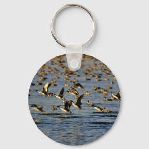 Pintails Schlüsselanhänger