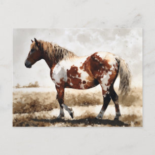 Pintaloosa Postkarte