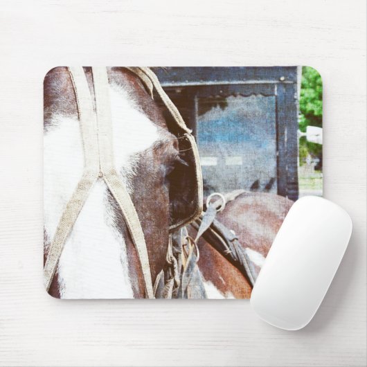 Pinto Amish Buggy Pferd Mousepad (Mit Mouse)