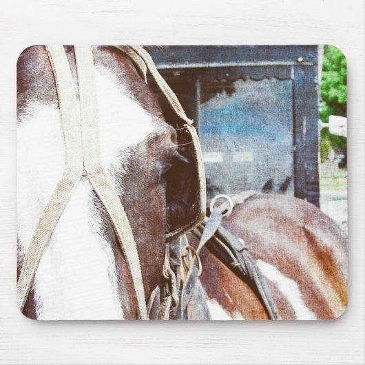 Pinto Amish Buggy Pferd Mousepad (Vorne)
