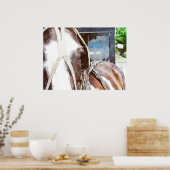Pinto Amish Buggy Pferd Poster (Küche)