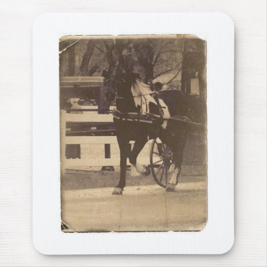 Pinto Amish Horse Imitate Vintag Mousepad (Vorne)