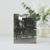 Pinto Amish Pferd und Buggy Postkarte (Stehend Vorderseite)