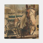 Pinto Buggy Magnet (Vorne)